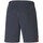 Kleidung Herren Shorts / Bermudas Puma 766110-02 Blau