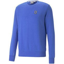 Kleidung Herren Sweatshirts Puma 533249-15 Blau