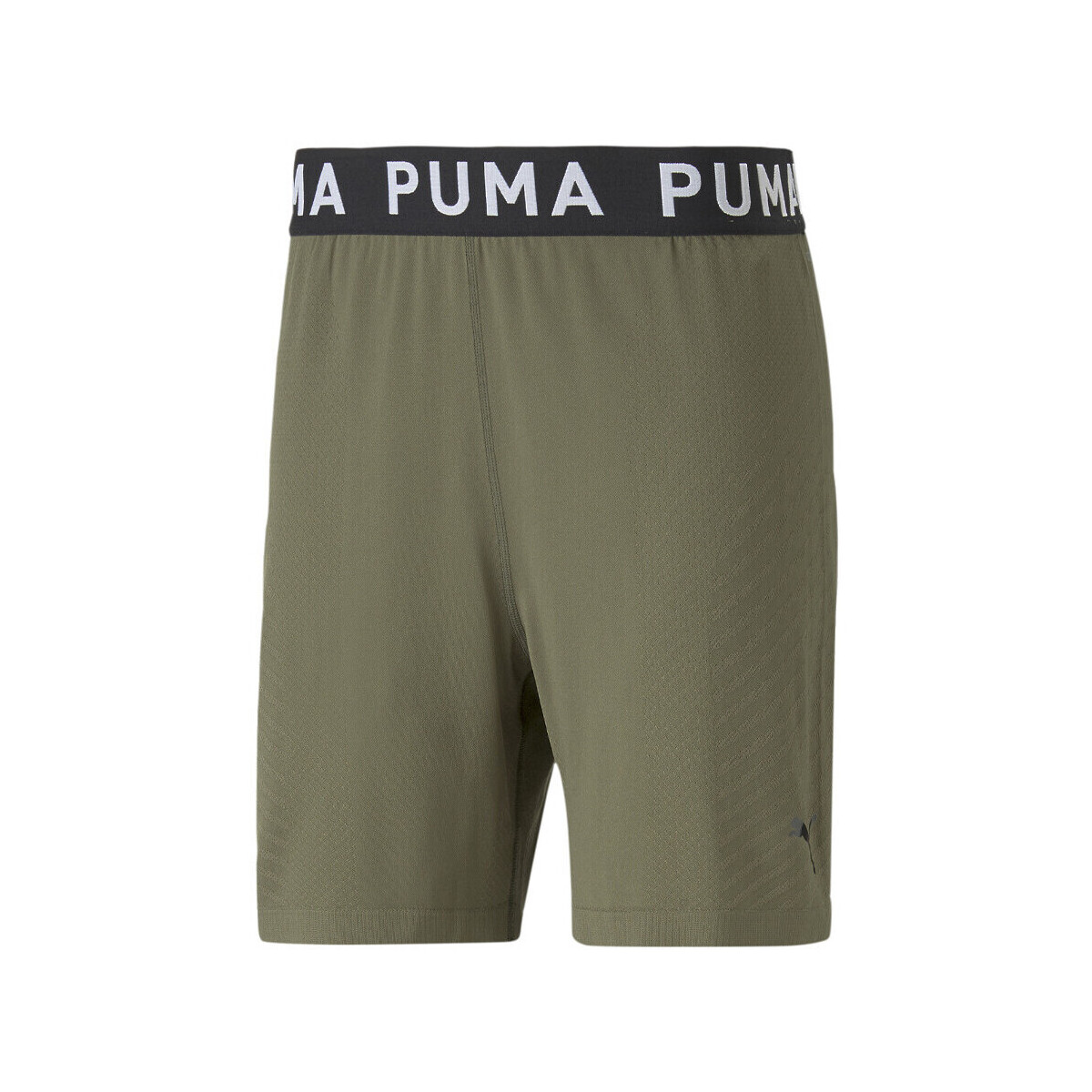 Kleidung Herren Shorts / Bermudas Puma 523509-70 Grün