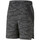 Kleidung Herren Shorts / Bermudas Puma 523122-01 Grau