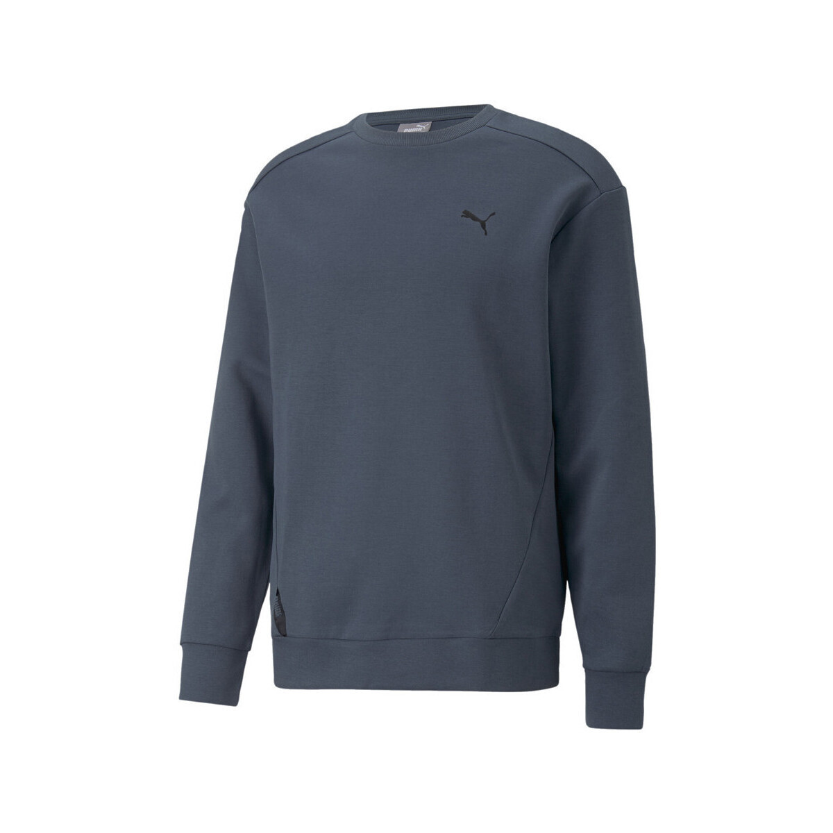 Kleidung Herren Sweatshirts Puma 673317-16 Blau