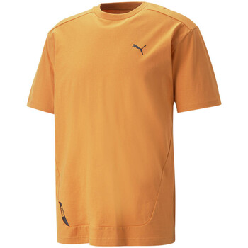 Kleidung Herren T-Shirts & Poloshirts Puma 673316-30 Orange