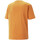 Kleidung Herren T-Shirts & Poloshirts Puma 673316-30 Orange