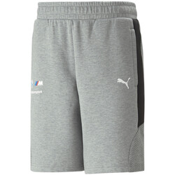 Kleidung Herren Shorts / Bermudas Puma 538134-03 Grau