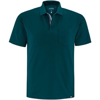 Schneider Sportswear  T-Shirts & Poloshirts Sport DANM-POLO 3122/6287
