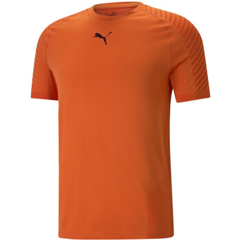 Kleidung Herren T-Shirts & Poloshirts Puma 523506-23 Orange