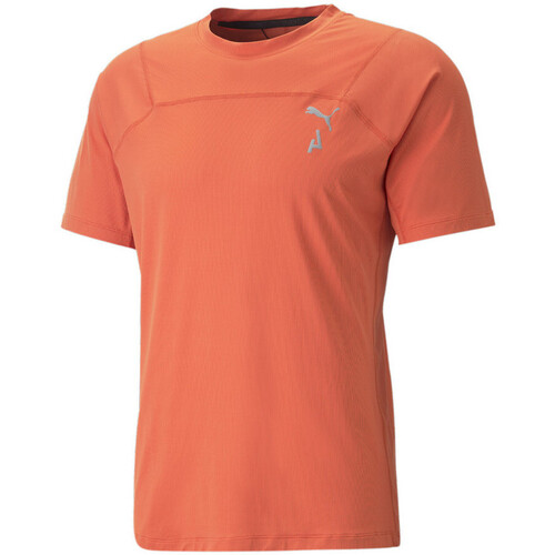 Kleidung Herren T-Shirts & Poloshirts Puma 523256-94 Orange