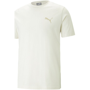 Kleidung Herren T-Shirts & Poloshirts Puma 673296-99 Beige