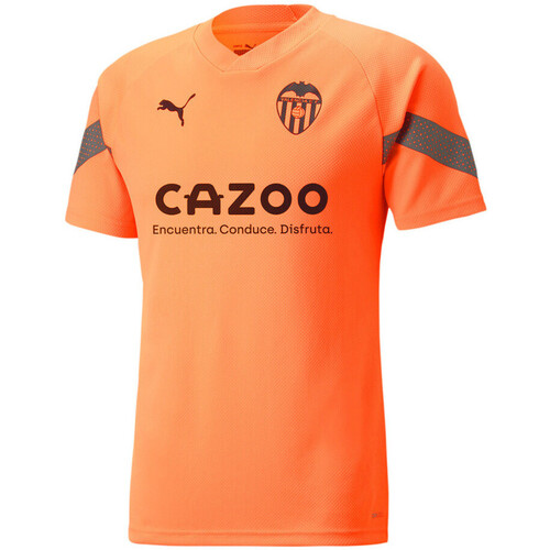 Kleidung Herren T-Shirts & Poloshirts Puma 767175-04 Orange