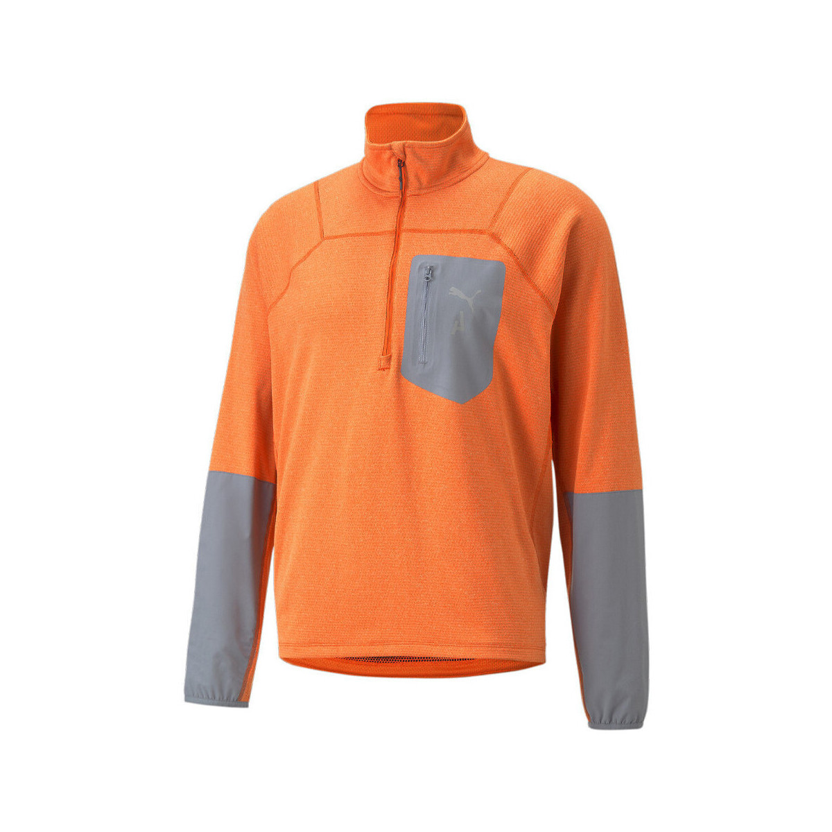 Kleidung Herren Sweatshirts Puma 523245-94 Orange