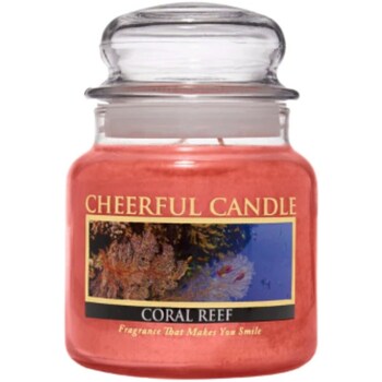 Cheerful Candle CS163 Multicolor