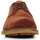 Schuhe Herren Derby-Schuhe & Richelieu Clarks Foxwell Hall Braun
