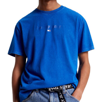 Kleidung Herren T-Shirts & Poloshirts Tommy Hilfiger DM0DM17717 Blau