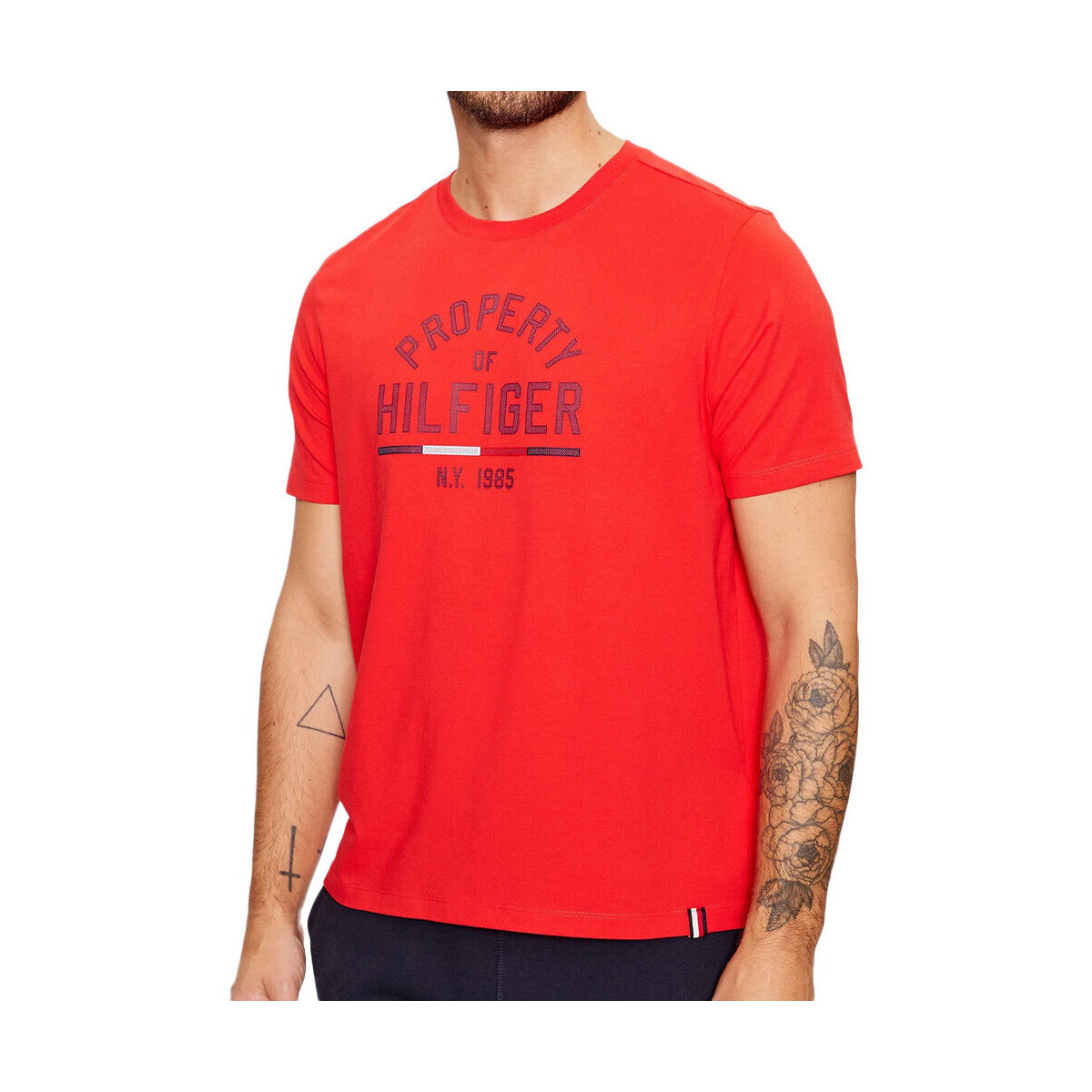 Kleidung Herren T-Shirts & Poloshirts Tommy Hilfiger MW0MW32641 Rot