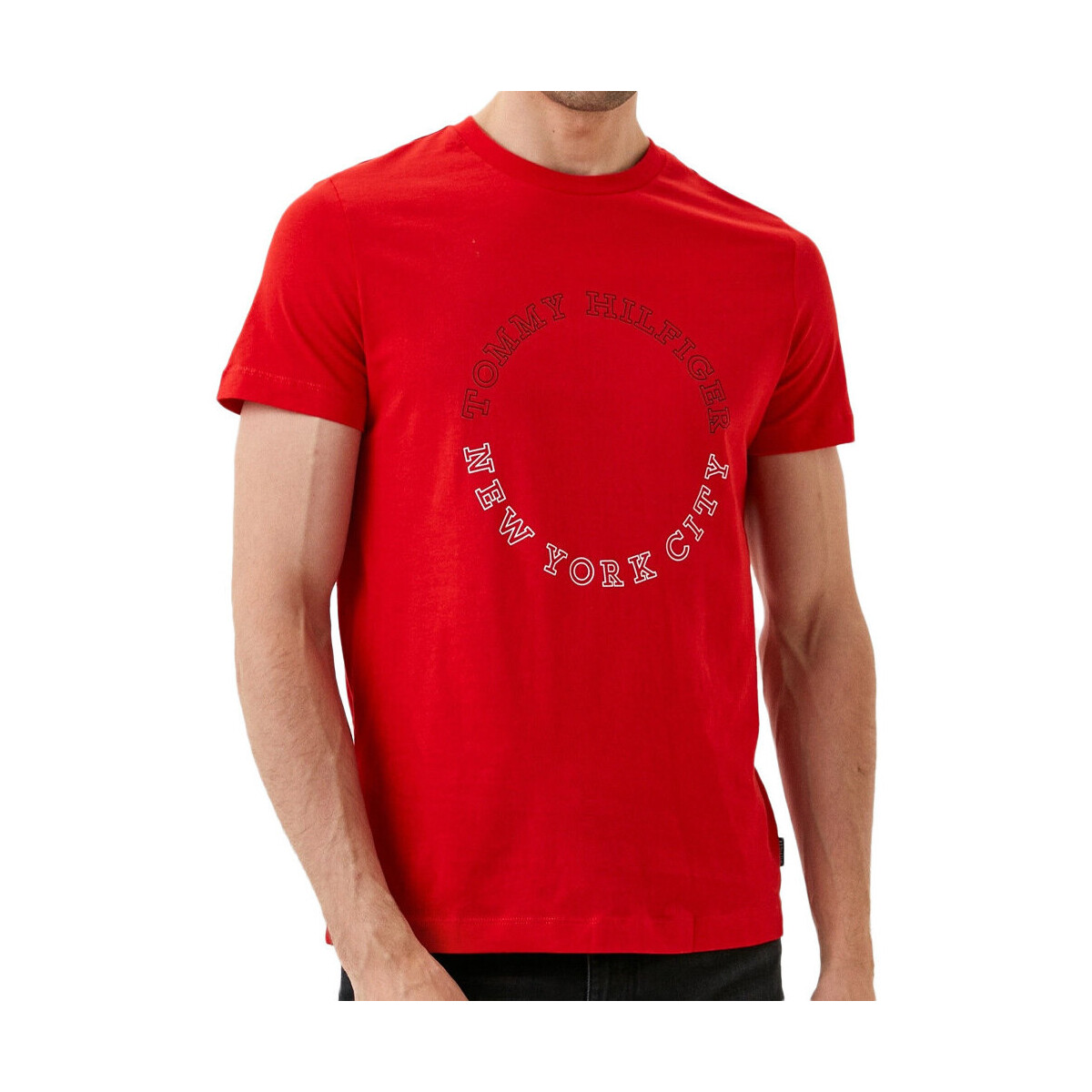 Kleidung Herren T-Shirts & Poloshirts Tommy Hilfiger MW0MW32602 Rot