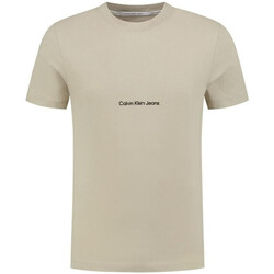 Kleidung Herren T-Shirts & Poloshirts Calvin Klein Jeans J30J322848 Grau