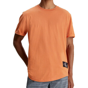 Kleidung Herren T-Shirts & Poloshirts Calvin Klein Jeans J30J323482 Orange