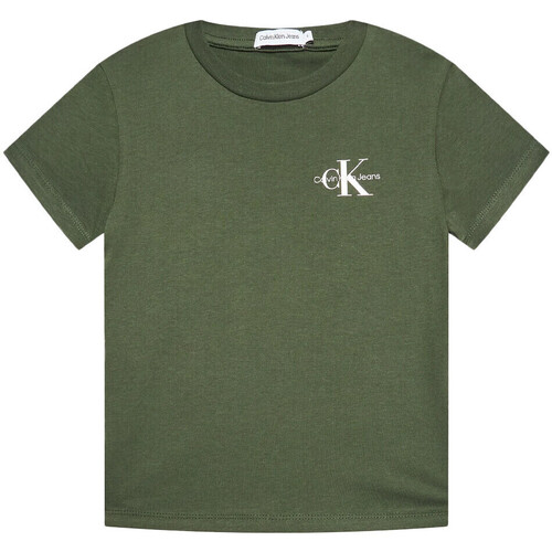 Kleidung Jungen T-Shirts Calvin Klein Jeans IB0IB01231 Grün