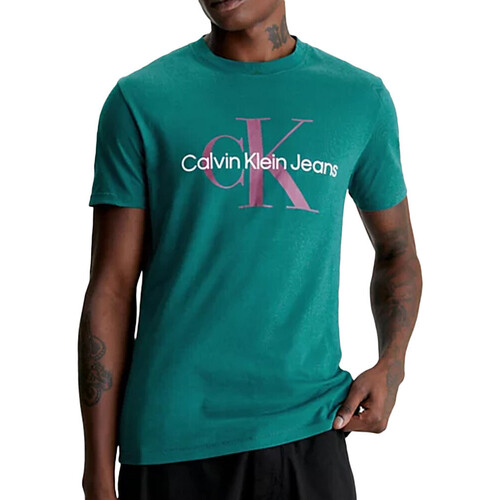 Kleidung Herren T-Shirts & Poloshirts Calvin Klein Jeans J30J320806 Grün