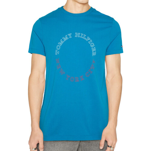 Kleidung Herren T-Shirts & Poloshirts Tommy Hilfiger MW0MW32602 Blau