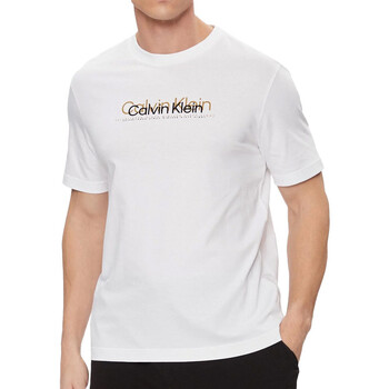 Kleidung Herren T-Shirts & Poloshirts Calvin Klein Jeans K10K111838 Weiss