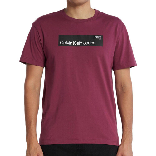 Kleidung Herren T-Shirts & Poloshirts Calvin Klein Jeans J30J324018 Violett
