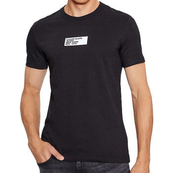 Kleidung Herren T-Shirts & Poloshirts Calvin Klein Jeans J30J324027 Schwarz