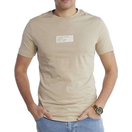 Kleidung Herren T-Shirts & Poloshirts Calvin Klein Jeans J30J324027 Beige