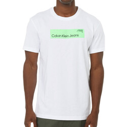 Kleidung Herren T-Shirts & Poloshirts Calvin Klein Jeans J30J324018 Weiss