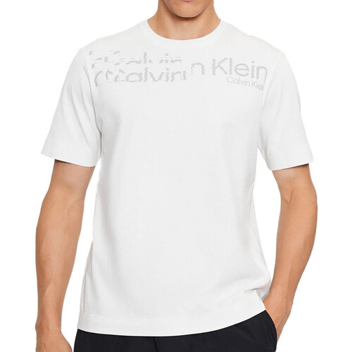 Kleidung Herren T-Shirts & Poloshirts Calvin Klein Jeans 00GMF3K141 Weiss