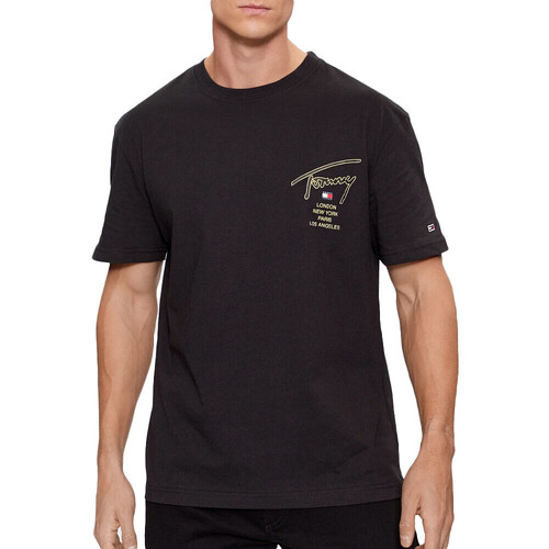 Kleidung Herren T-Shirts & Poloshirts Tommy Hilfiger DM0DM17729 Schwarz