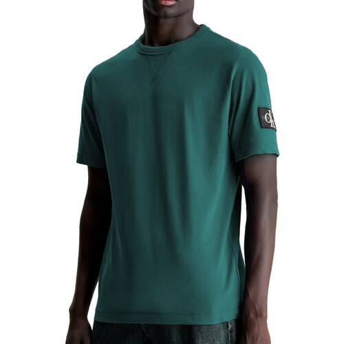 Kleidung Herren T-Shirts & Poloshirts Calvin Klein Jeans J30J323484 Grün