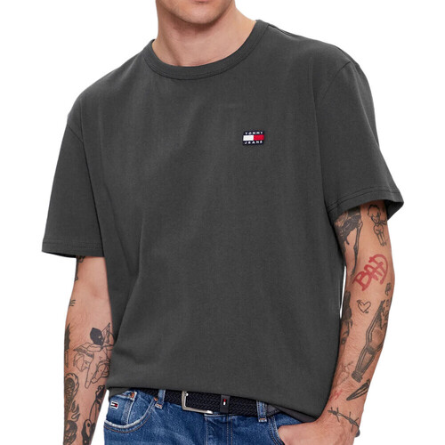 Kleidung Herren T-Shirts & Poloshirts Tommy Hilfiger DM0DM17870 Grau