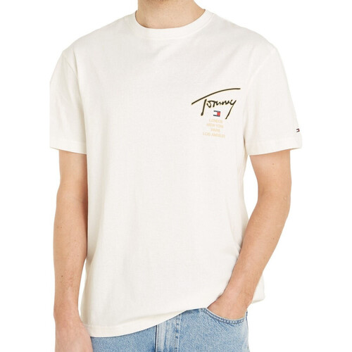 Kleidung Herren T-Shirts & Poloshirts Tommy Hilfiger DM0DM17729 Weiss