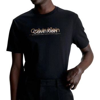 Kleidung Herren T-Shirts & Poloshirts Calvin Klein Jeans K10K111838 Schwarz