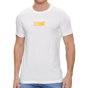 Kleidung Herren T-Shirts & Poloshirts Calvin Klein Jeans J30J324027 Weiss