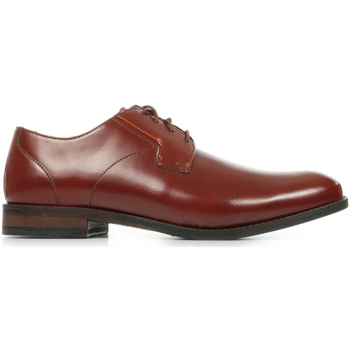 Schuhe Herren Derby-Schuhe & Richelieu Clarks Edward Plain Braun