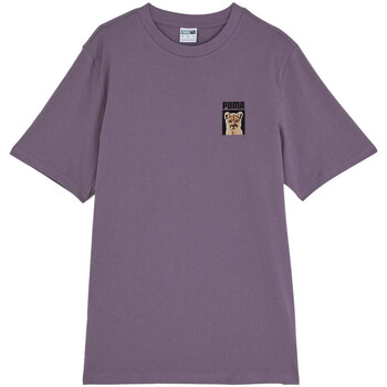 Kleidung Herren T-Shirts & Poloshirts Puma 622794-61 Violett