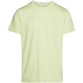 Kleidung Herren T-Shirts Calvin Klein Jeans  Grün