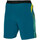 Kleidung Herren Shorts / Bermudas Mizuno 62GB2001-25 Blau