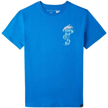 Kleidung Jungen T-Shirts O'neill 4850071-15045 Blau