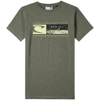 Kleidung Jungen T-Shirts O'neill 4850055-16028 Grün