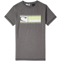 Kleidung Jungen T-Shirts & Poloshirts O'neill 4850055-18021 Grau