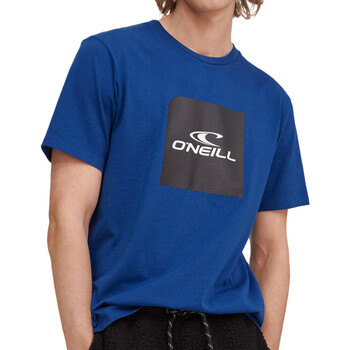 Kleidung Herren T-Shirts & Poloshirts O'neill 1P2336-15013 Blau