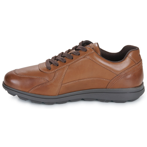Geox U SPHERICA EC12 Braun