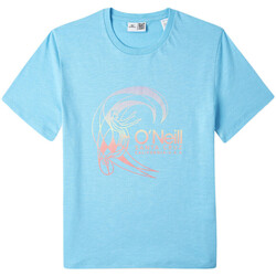 Kleidung Jungen T-Shirts & Poloshirts O'neill 3850026-15046 Blau