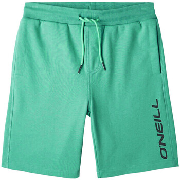 Kleidung Jungen Shorts / Bermudas O'neill 4700008-16031 Grün