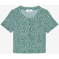 Kleidung Mädchen T-Shirts & Poloshirts Le Temps des Cerises T-shirt SILOEGI Grün