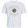 Kleidung Herren T-Shirts Jack & Jones 12251899 JORLUCCA Weiss