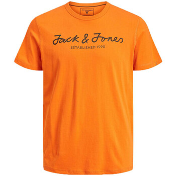 Kleidung Jungen T-Shirts & Poloshirts Jack & Jones 12216498 Orange